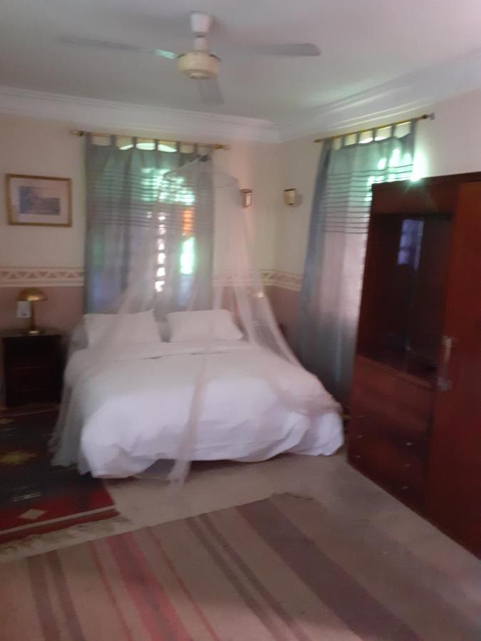 Villa Nile House Luksor Dış mekan fotoğraf