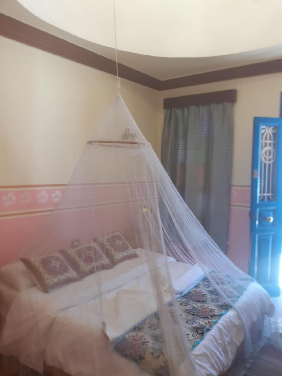 Villa Nile House Luksor Dış mekan fotoğraf
