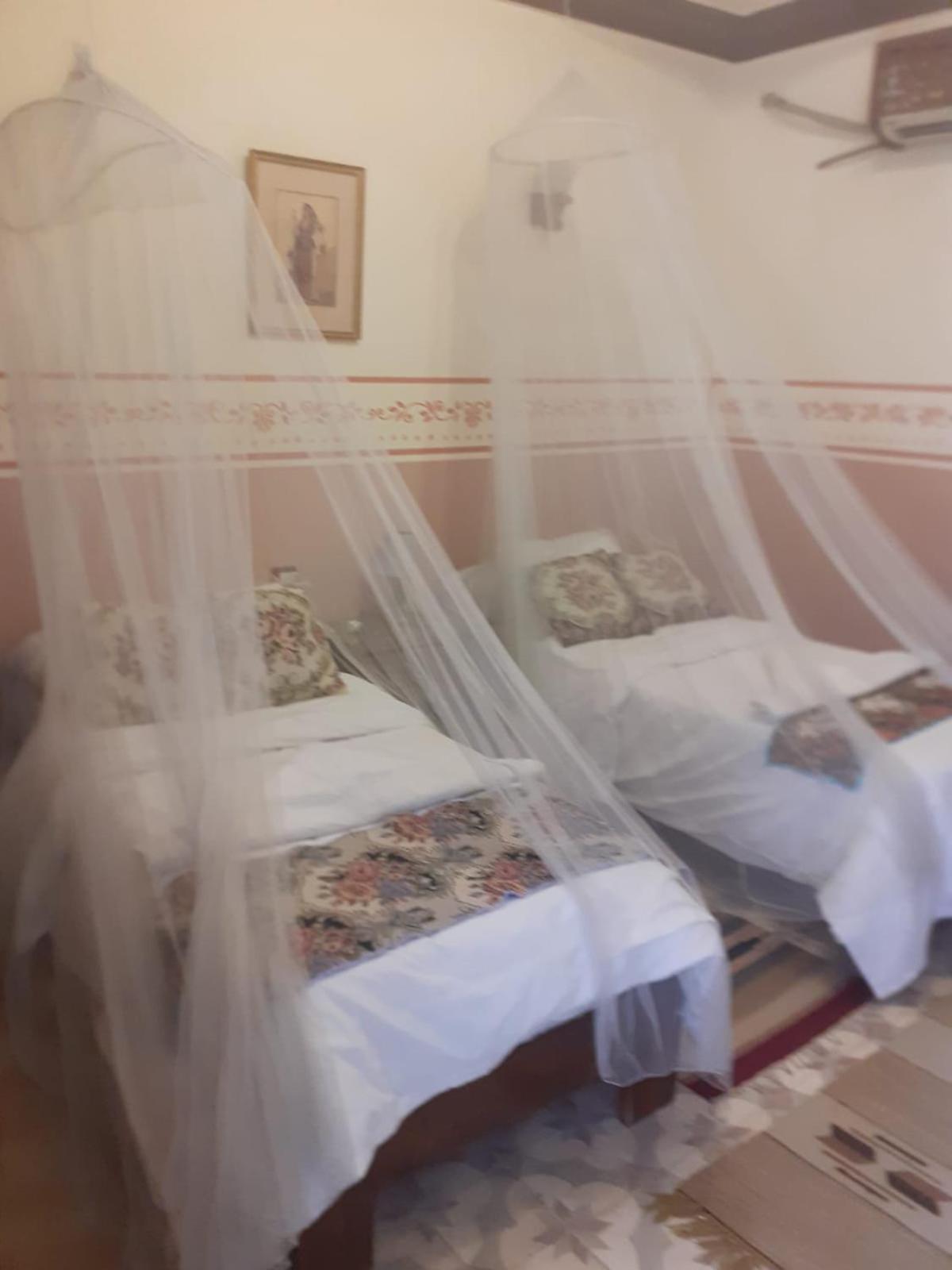 Villa Nile House Luksor Dış mekan fotoğraf